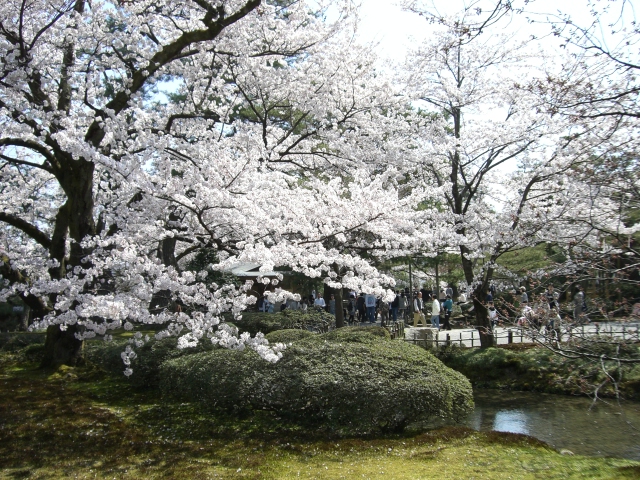 兼六園_05