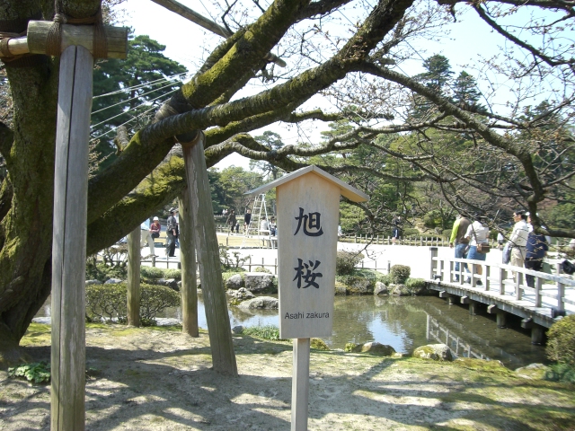 兼六園_07