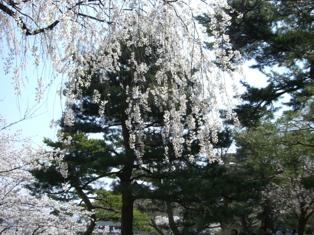 兼六園_10