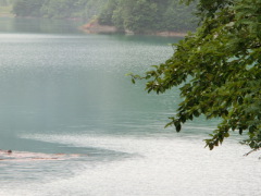 CIMG0501.JPG