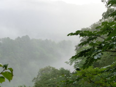 CIMG0506.JPG