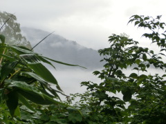 CIMG0507.JPG