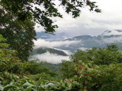 CIMG0508.JPG