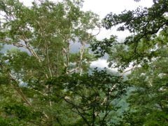 CIMG0509.JPG