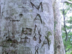CIMG0510.JPG