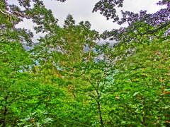 CIMG0518.JPG