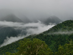 CIMG0522.JPG