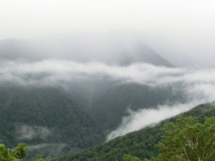 CIMG0523.JPG