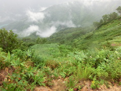 CIMG0529.JPG