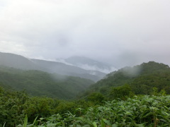 CIMG0533.JPG