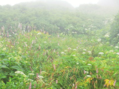 CIMG0539.JPG