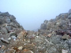 CIMG0553.JPG