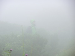 CIMG0558.JPG