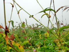 CIMG0562.JPG