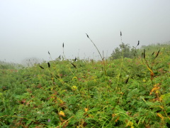 CIMG0563.JPG