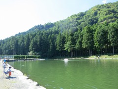 大池２