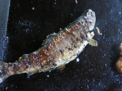 丸焼き