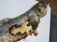 イワナ塩焼き