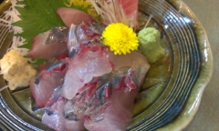 鯵