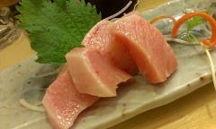 本鮪カマトロ