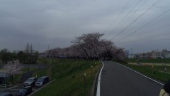 蛇池堤防