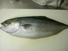 ツバス